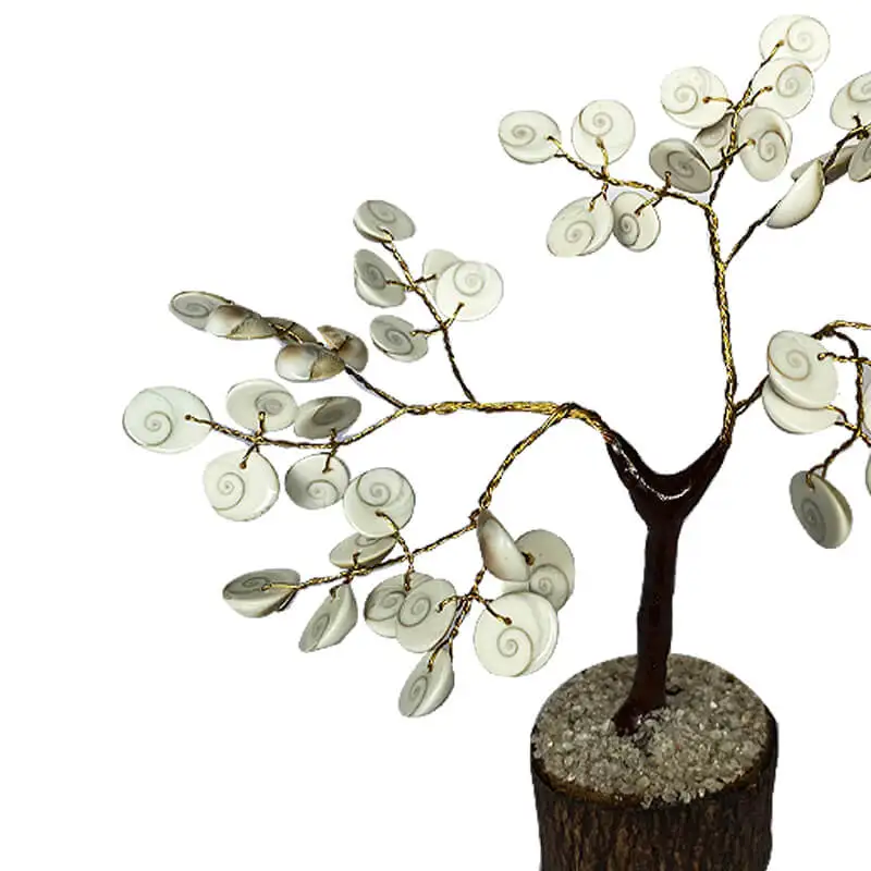 50 Beeds Gomathi Chakram Healing tree - image 2