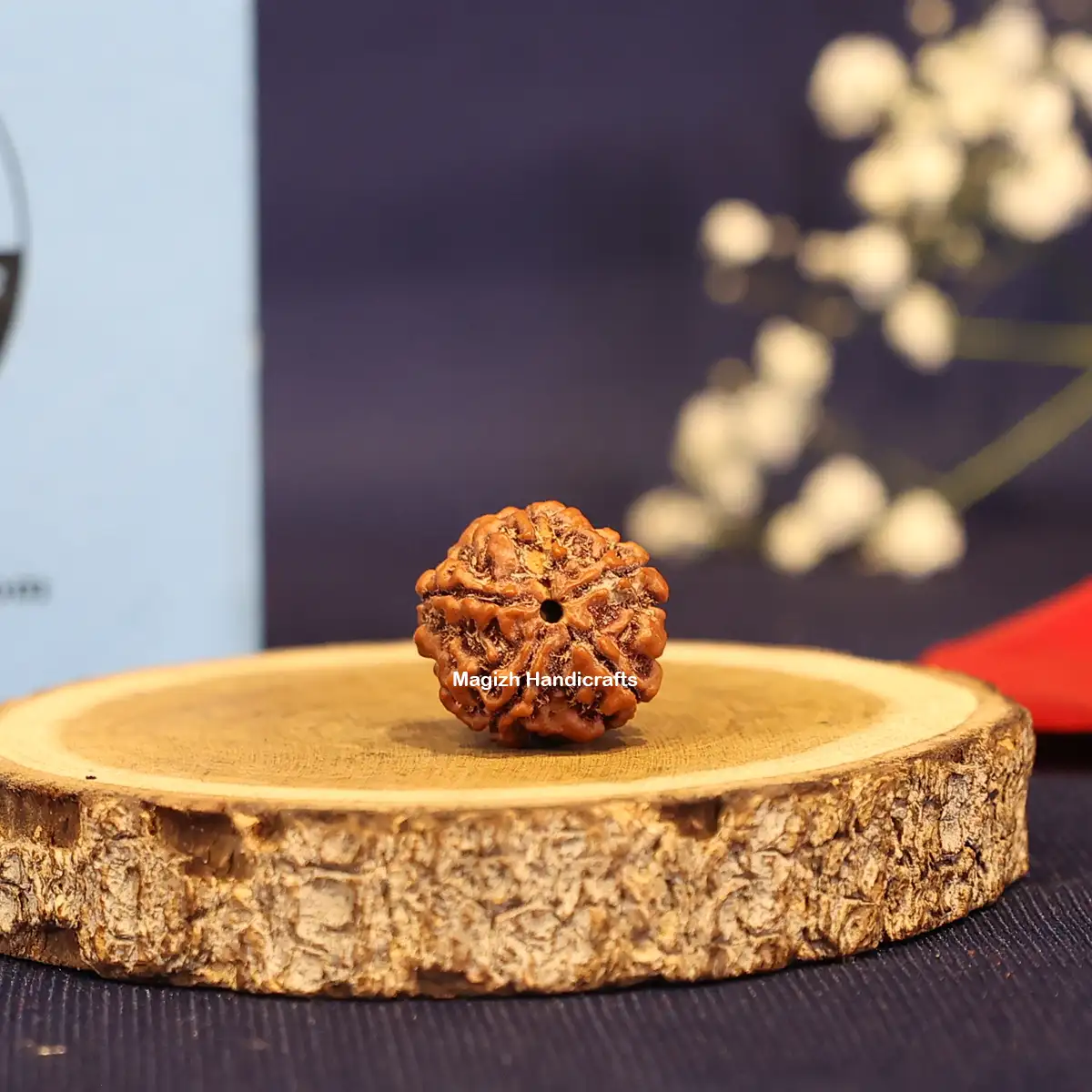 Five face Rudhraksham bead Medium - image 1