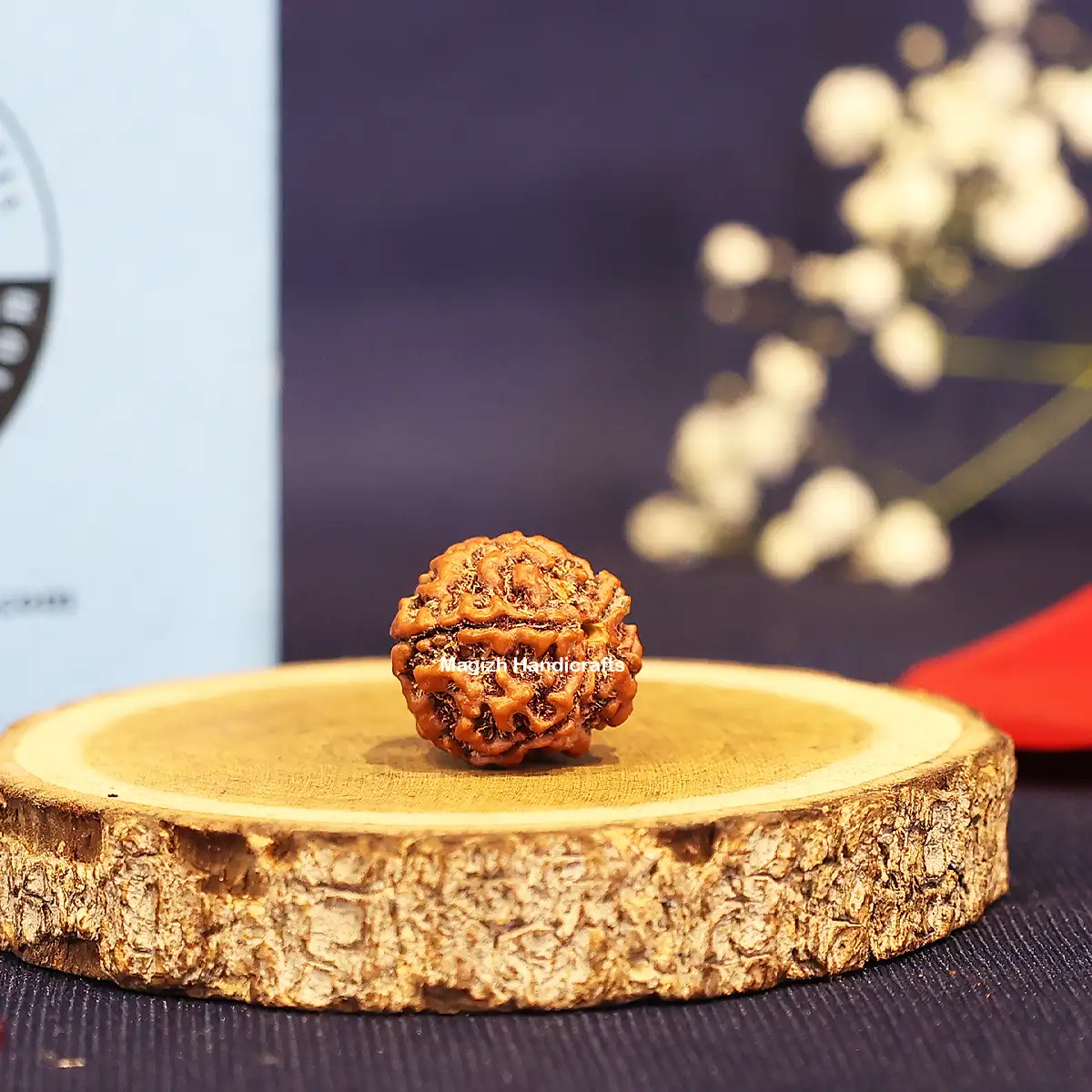 Five face Rudhraksham bead Medium - image 2